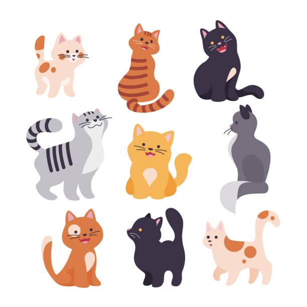 Illustrated images of different cats. Cat owners to face £500 fine if their don't microchip their cats